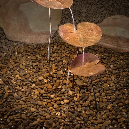 库贝酒店 4* 菲登扎