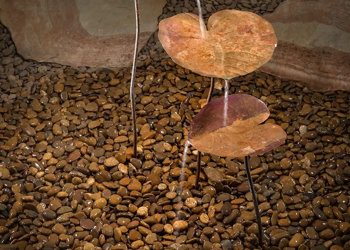 The Cube 4* 피덴차