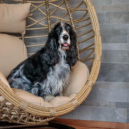 The Cube Hotel Fidenza