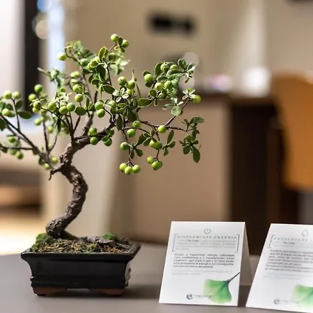 The Cube Szálloda Fidenza