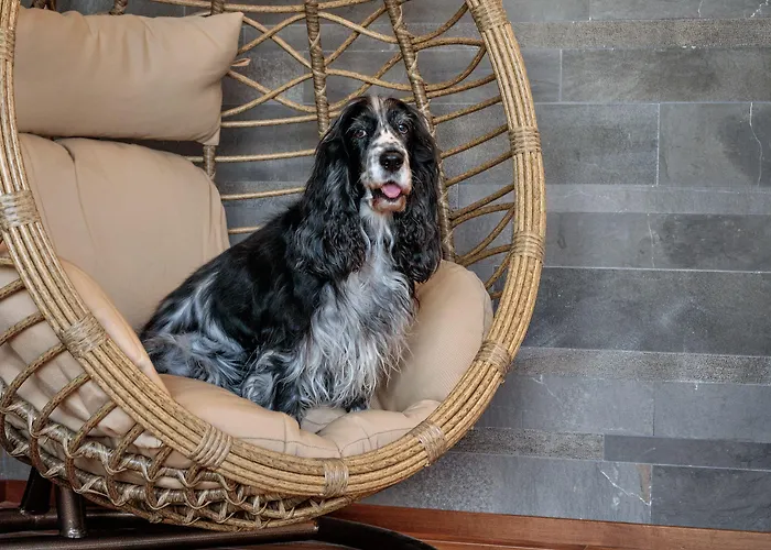 The Cube Hotel Fidenza